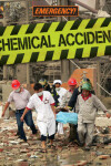 Book cover for Chemical Accident