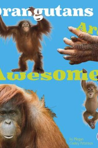 Cover of Orangutans are Awesome (Awesome Asian Animals)