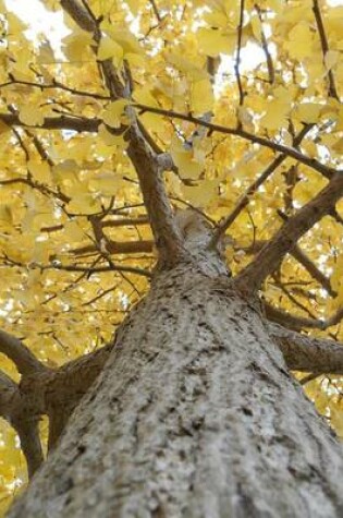 Cover of Yellow Leaves on a Gingko Tree in Autumn