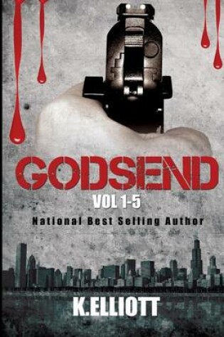 Cover of Godsend Series 1-5