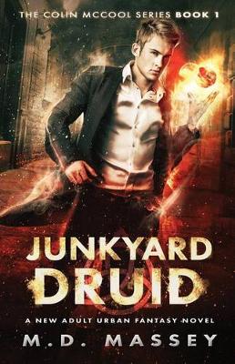 Book cover for Junkyard Druid