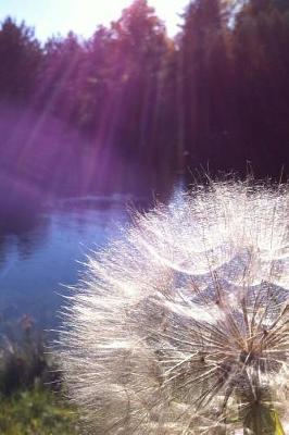 Book cover for Cool Sunlit Fluffy White Dandelion Nature Journal