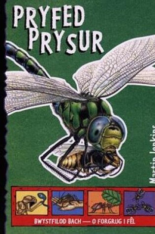 Cover of Cyfres Ffaith i Ti!: Pryfed Prysur