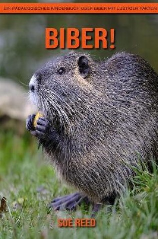 Cover of Biber! Ein pädagogisches Kinderbuch über Biber mit lustigen Fakten