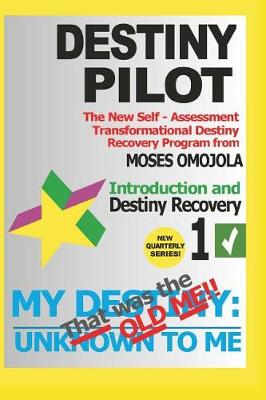 Book cover for Destiny Pilot 1