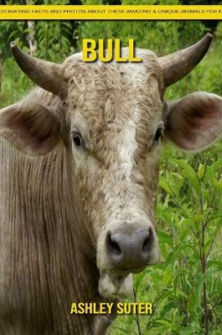 Cover of Bull