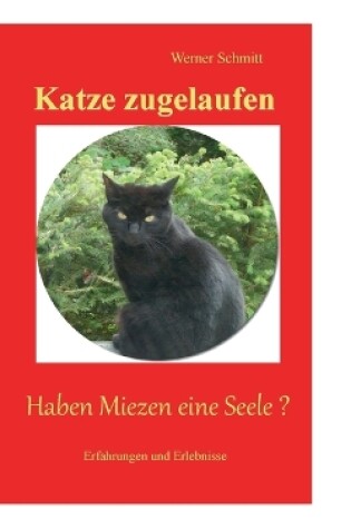 Cover of Katze zugelaufen