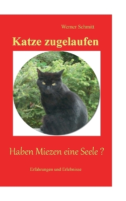 Book cover for Katze zugelaufen