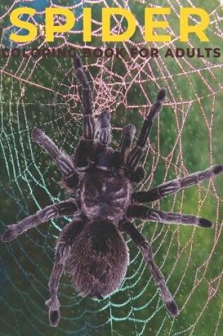 Cover of Spider Coloring Book for Adults