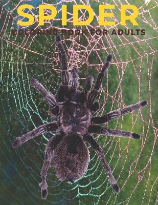 Book cover for Spider Coloring Book for Adults