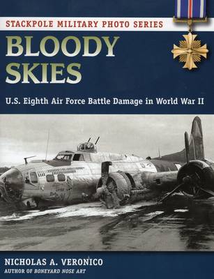 Book cover for Bloody Skies