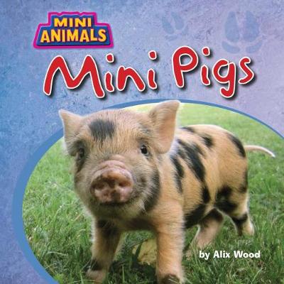 Book cover for Mini Pigs