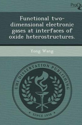 Cover of Functional Two-Dimensional Electronic Gases at Interfaces of Oxide Heterostructures