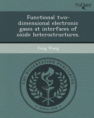 Book cover for Functional Two-Dimensional Electronic Gases at Interfaces of Oxide Heterostructures