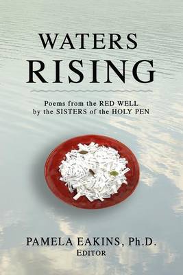 Book cover for Waters Rising
