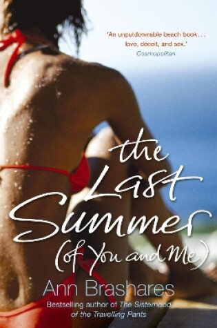 Cover of The Last Summer (of You & Me)