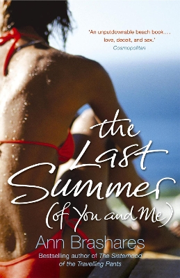 Book cover for The Last Summer (of You & Me)