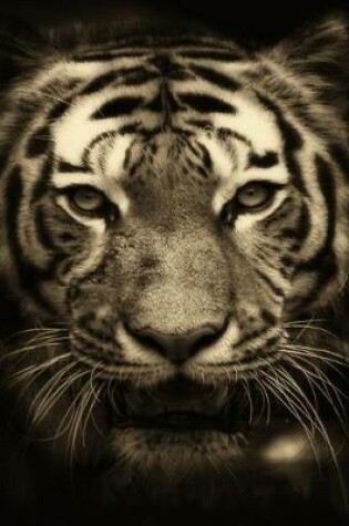Cover of Big Cat Tiger Notebook