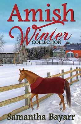 Book cover for Amish Winter Collection