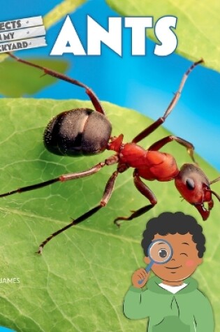 Cover of Ants