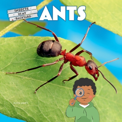 Cover of Ants