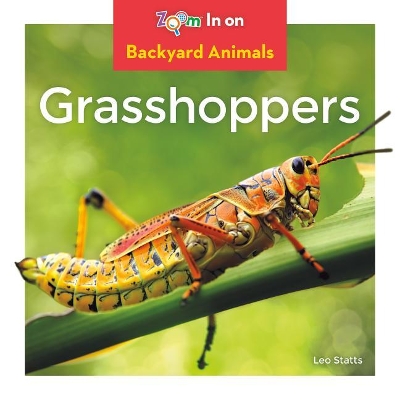 Book cover for Grasshoppers