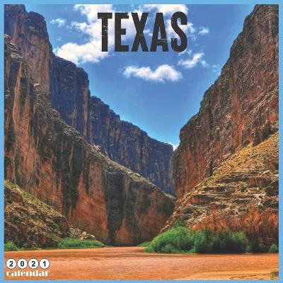 Book cover for Texas 2021 Calendar