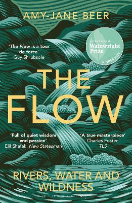 Book cover for The Flow