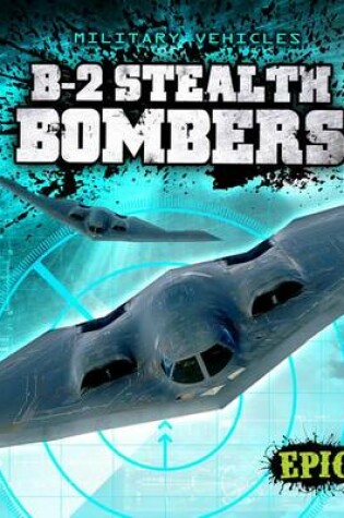 Cover of B-2 Stealth Bombers