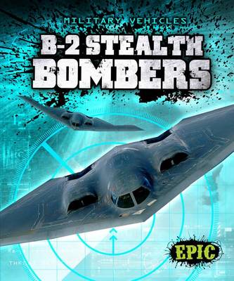 Book cover for B-2 Stealth Bombers