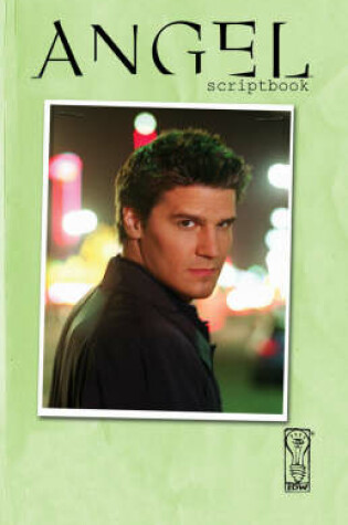 Cover of Angel Scriptbook Collection: Volume 2
