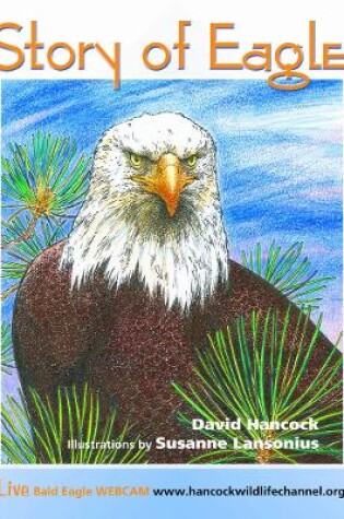 Cover of Story of Eagle Activity & Coloring Book