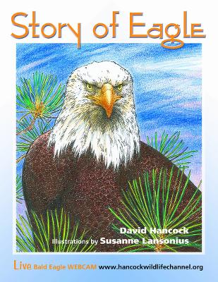 Book cover for Story of Eagle Activity & Coloring Book