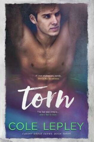 Cover of Torn