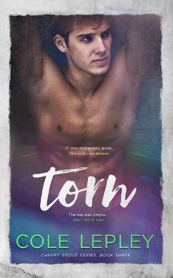 Book cover for Torn