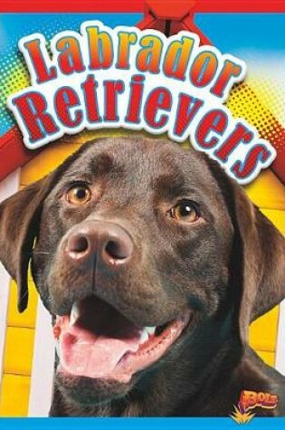 Cover of Labrador Retrievers