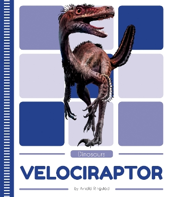 Book cover for Dinosaurs: Velociraptor
