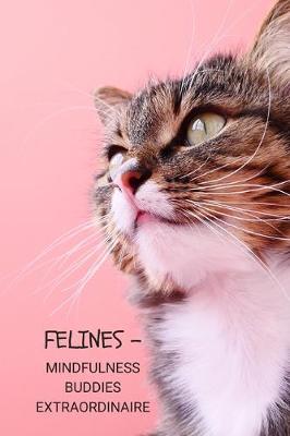 Book cover for Felines - Mindfulness Buddies Extraordinaire