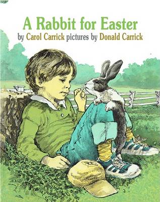 Book cover for A Rabbit for Easter