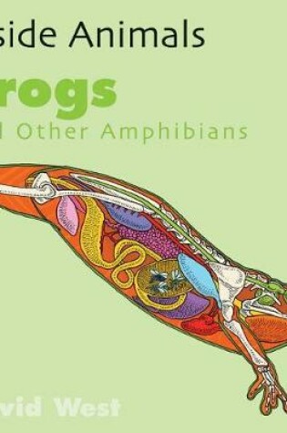 Cover of Frogs and Other Amphibians