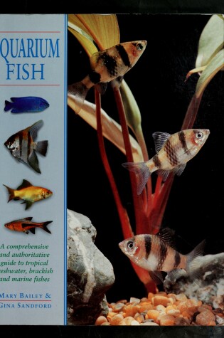 Cover of Aquarium Fish