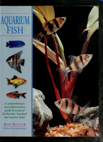 Book cover for Aquarium Fish