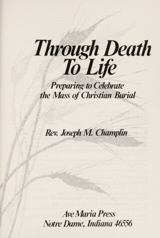 Book cover for Through Death to Life