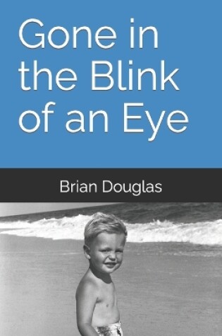 Cover of Gone in the Blink of an Eye