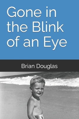 Book cover for Gone in the Blink of an Eye