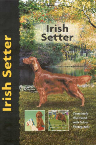 Cover of Irish Setter