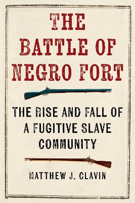 Book cover for The Battle of Negro Fort