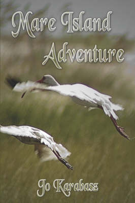 Book cover for Mare Island Adventure