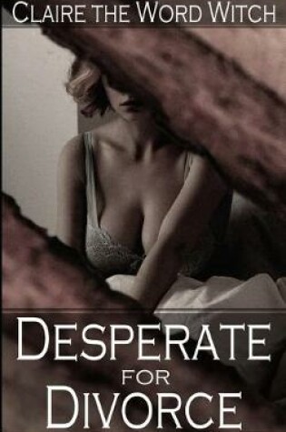 Cover of Desperate for Divorce