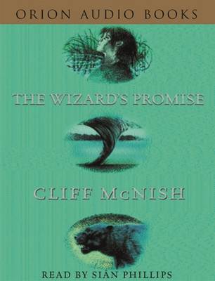 Book cover for The Wizard's Promise